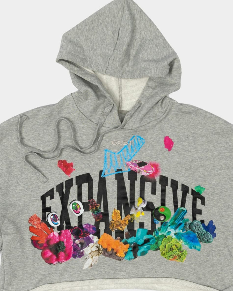 Expansive Cropped Hoodie - Grey